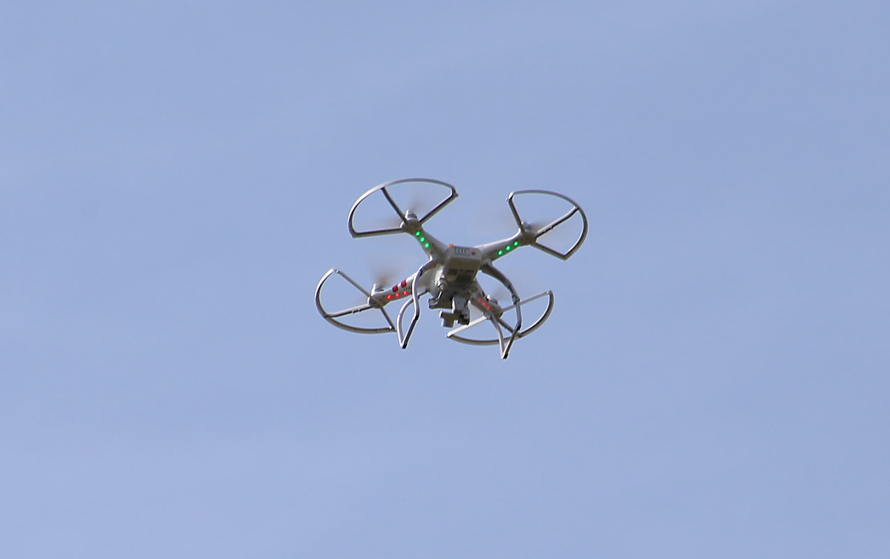 Ferdinand Folk Fest 09/20/2014